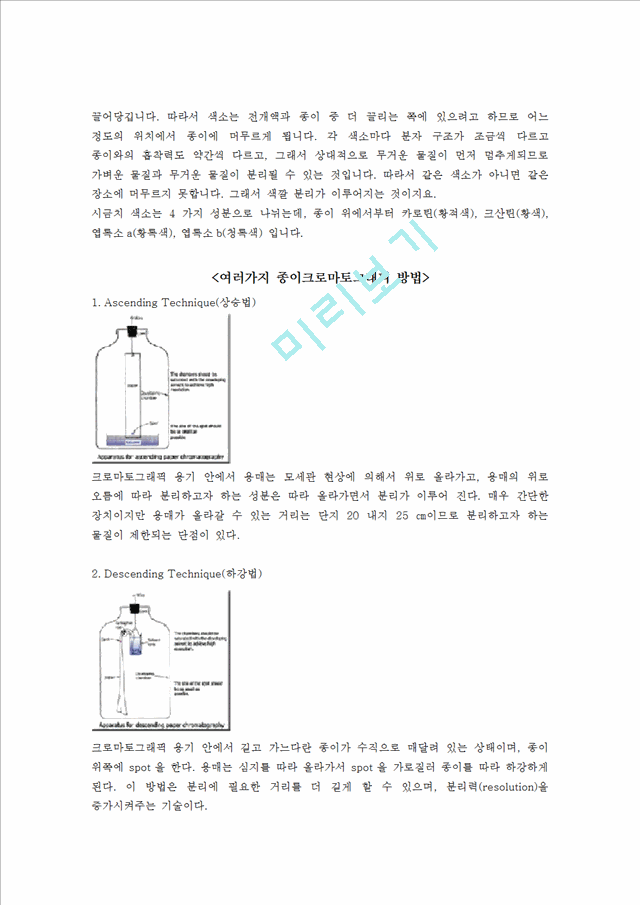 [자연과학] 생물실험 - 광합성 색소의 분리.doc